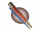 Laguiole bottine bois de rose  