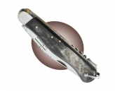 Chasse corne grise  
