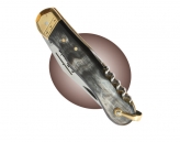 Pionnier corne grise  